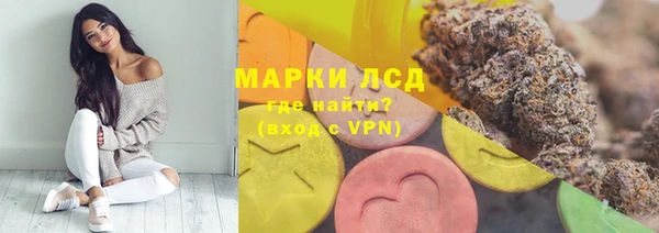 твердый Новозыбков