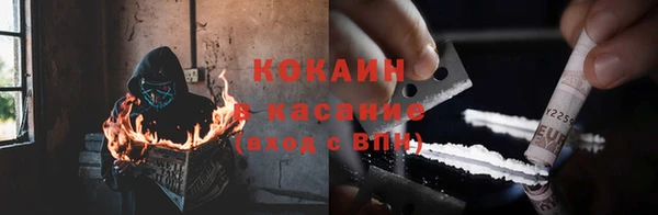 твердый Новозыбков