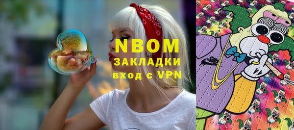 твердый Новозыбков