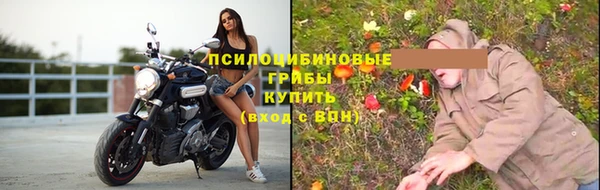 таблы Новодвинск